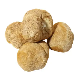 Dried Lion's Mane or Monkey Mushroom 干猴头菇 250g
