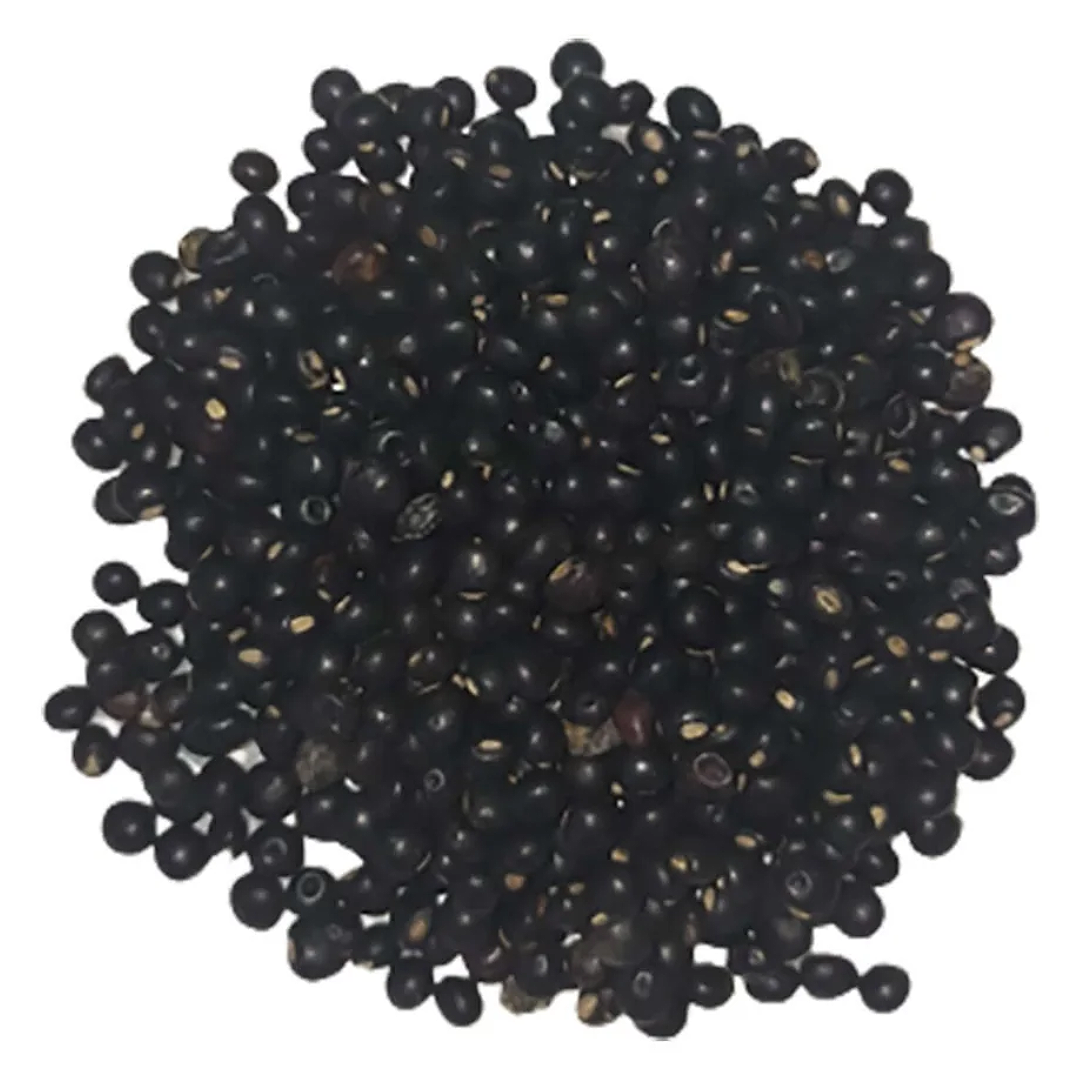 TVG Kadyos Beans 100g