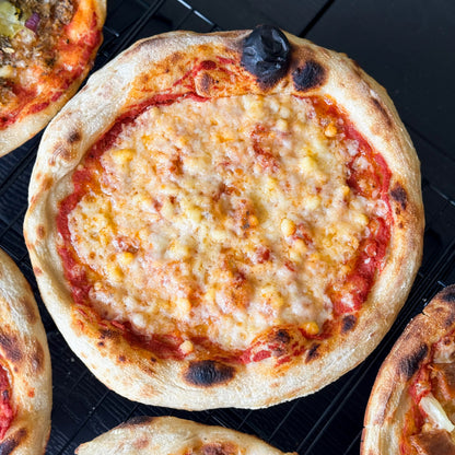 Gatto Pizza Cheesy Pls Pizza