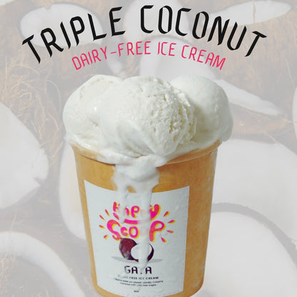 Happy Scoop Triple Coconut Ice Cream pint (gluten-free)