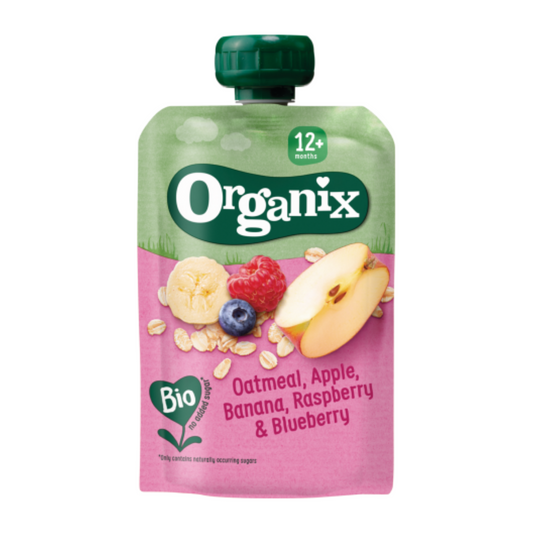 Organix Oatmeal, Apple, Banana, Raspberry & Blueberry Puree Pouch 100g 12+mos (no added sugar)