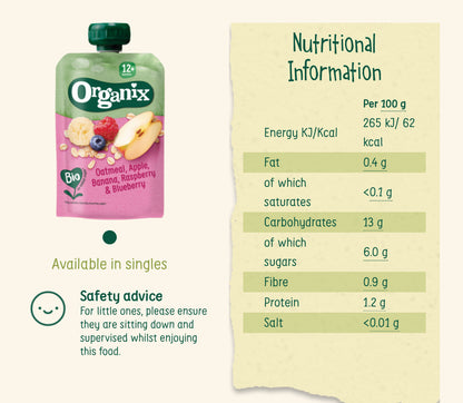 Organix Oatmeal, Apple, Banana, Raspberry & Blueberry Puree Pouch 100g 12+mos (no added sugar)