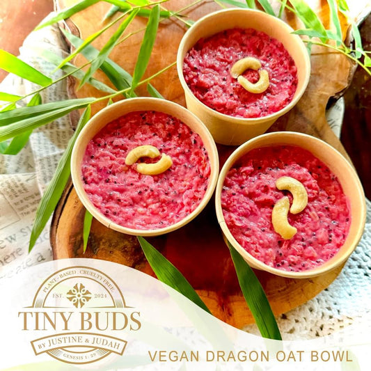 Tiny Buds Vegan Dragonfruit Oat Bowl