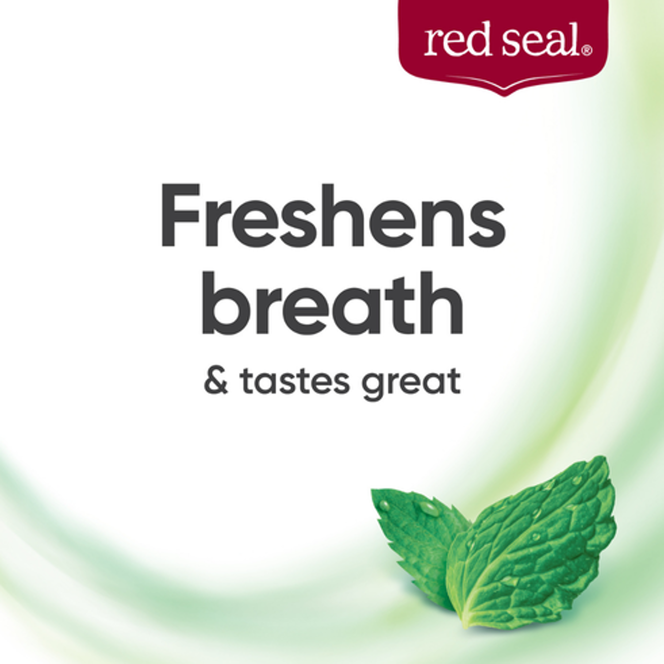 Red Seal Complete Care Toothpaste Mild Mint 100g (fluoride-free)