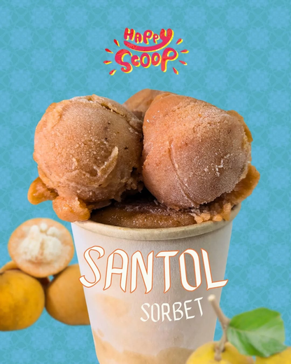Happy Scoop Santol Sorbet Pint with Chili Salt (gluten-free)