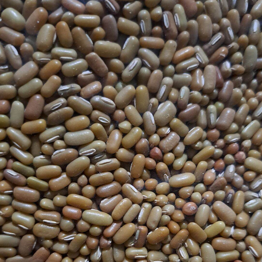 TVG Tapilan Beans 500g