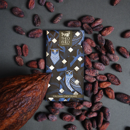 Theo & Philo 70% Dark Chocolate 45g