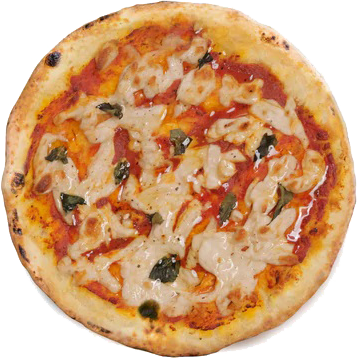 Pizza Plant Margherita 10”